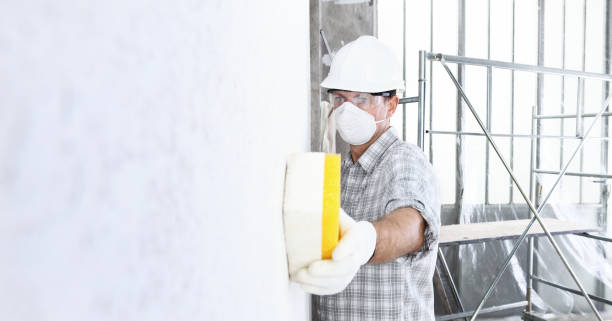 Best Black Mold Removal  in Westwood, NJ